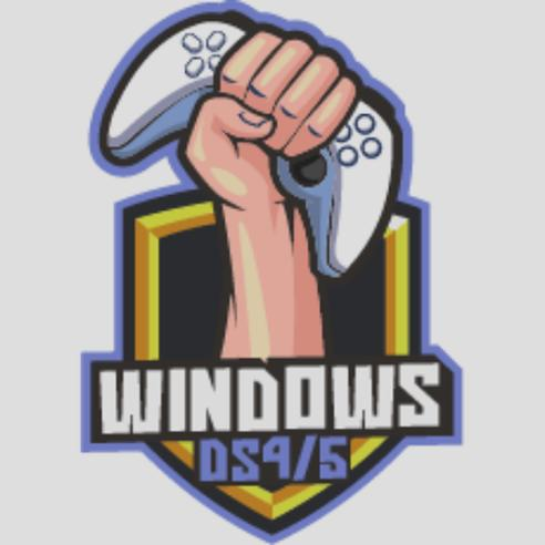 DS4Windows konfiguracja